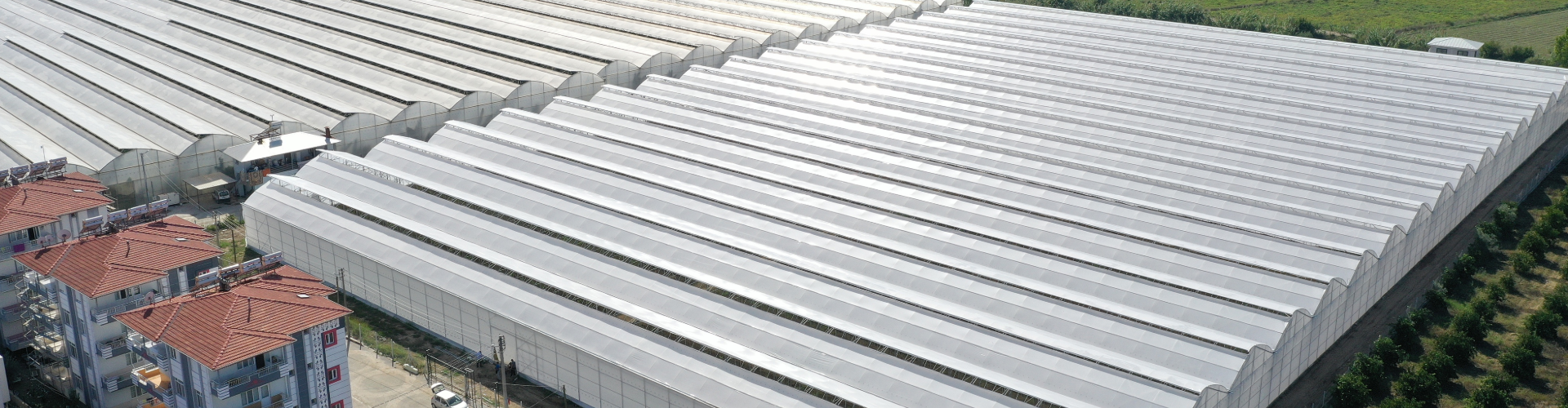 AI数字农业服务平台