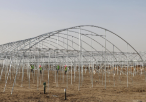 Factory Site Design