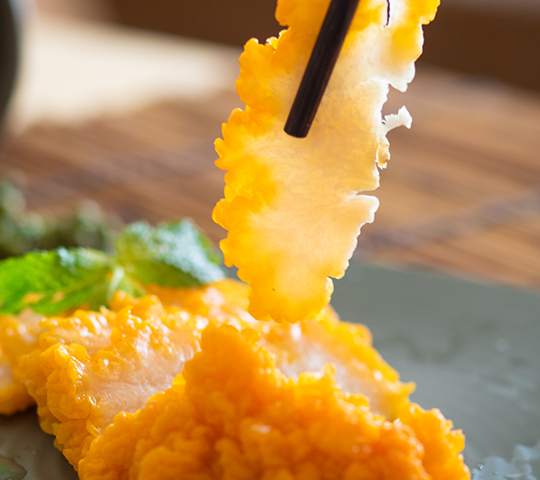 Edible, Nourishing and Cosmetic Bacteria