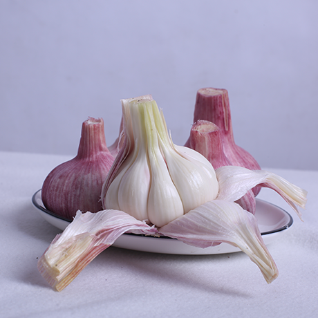 Fresh Garlic