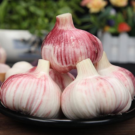 Fresh Garlic