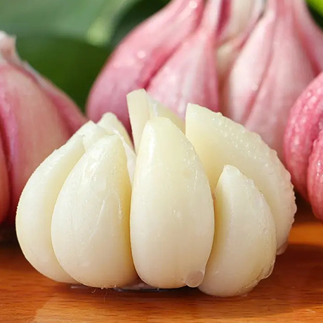 Fresh Garlic