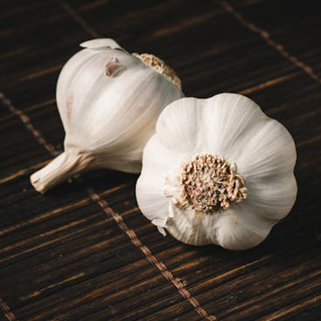 Fresh Garlic