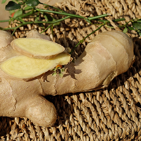 Ginger