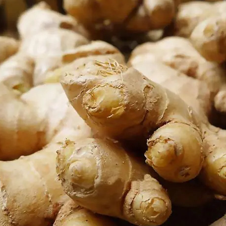 Ginger