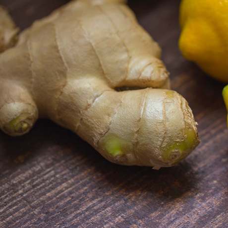 Ginger