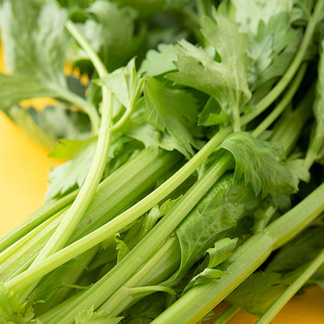 Fresh Green Celery
