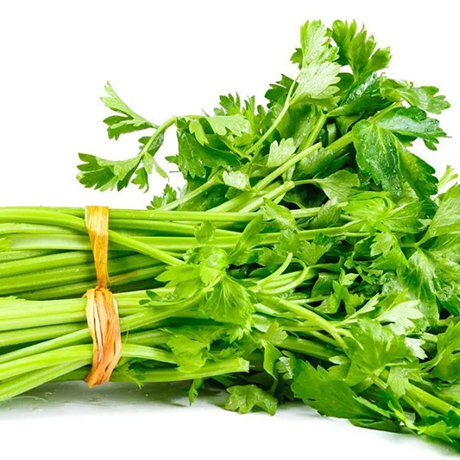 Fresh Green Celery