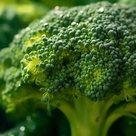 Fresh Organic Broccoli