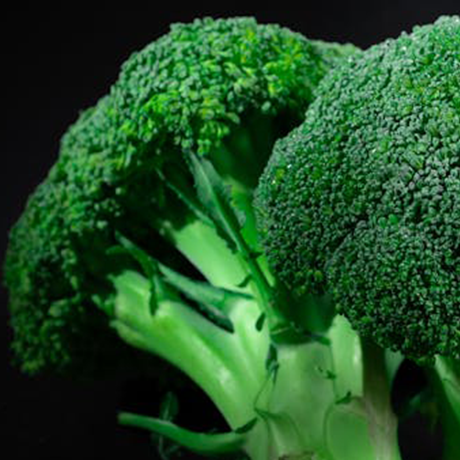 Fresh Organic Broccoli