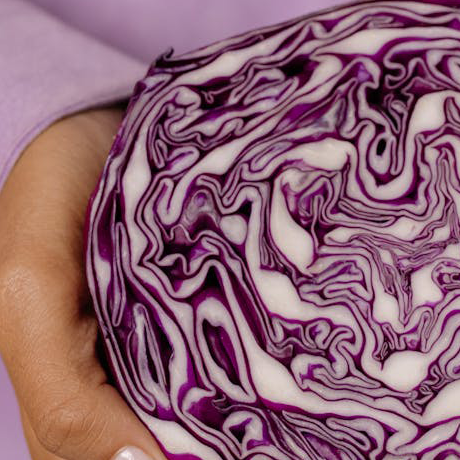 Fresh Purple Cabbage