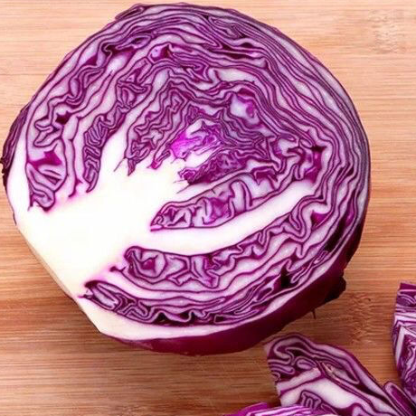 Fresh Purple Cabbage