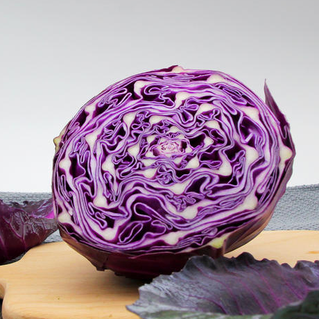 Fresh Purple Cabbage