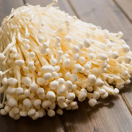 Flammulina Velutipes