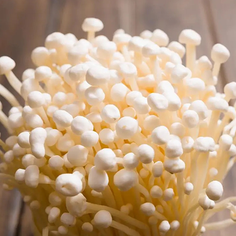 Flammulina Velutipes