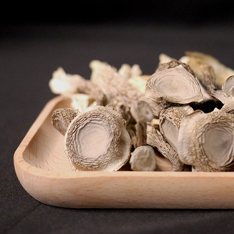 Deer Antler Mushroom
