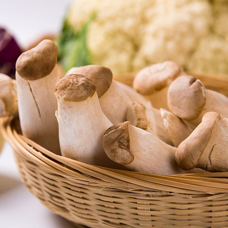 King Oyster Mushroom