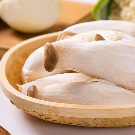 King Oyster Mushroom