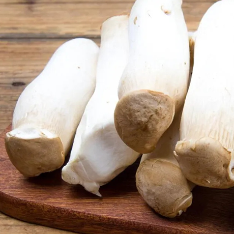 King Oyster Mushroom